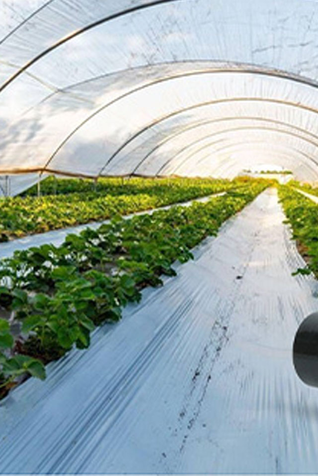Green Agriculture Sheet