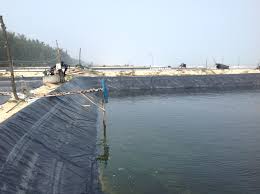 hdpe geo membrane